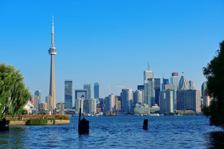 toronto Local Plumbing Company